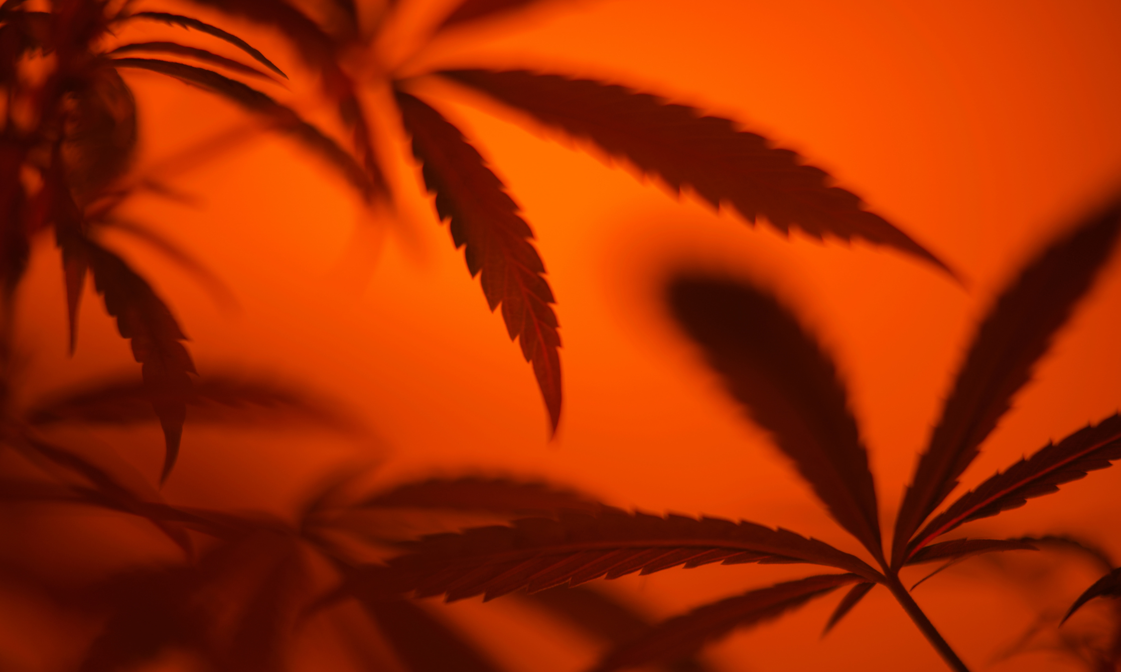 Avoid the Cross-Fade